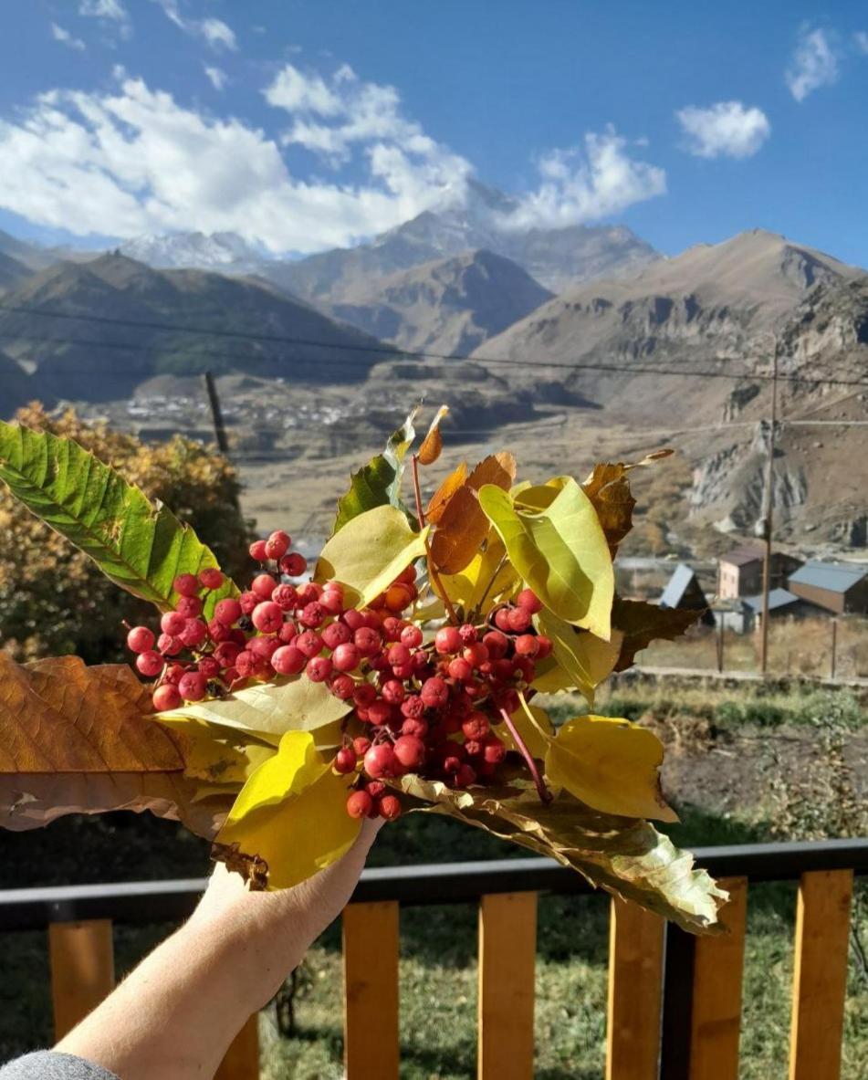 Emotion Kazbegi Apartment Bilik gambar
