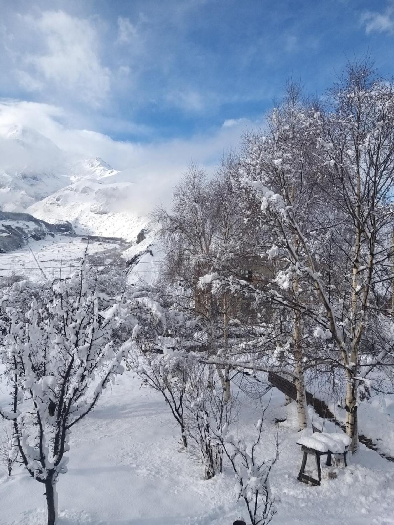 Emotion Kazbegi Apartment Bilik gambar