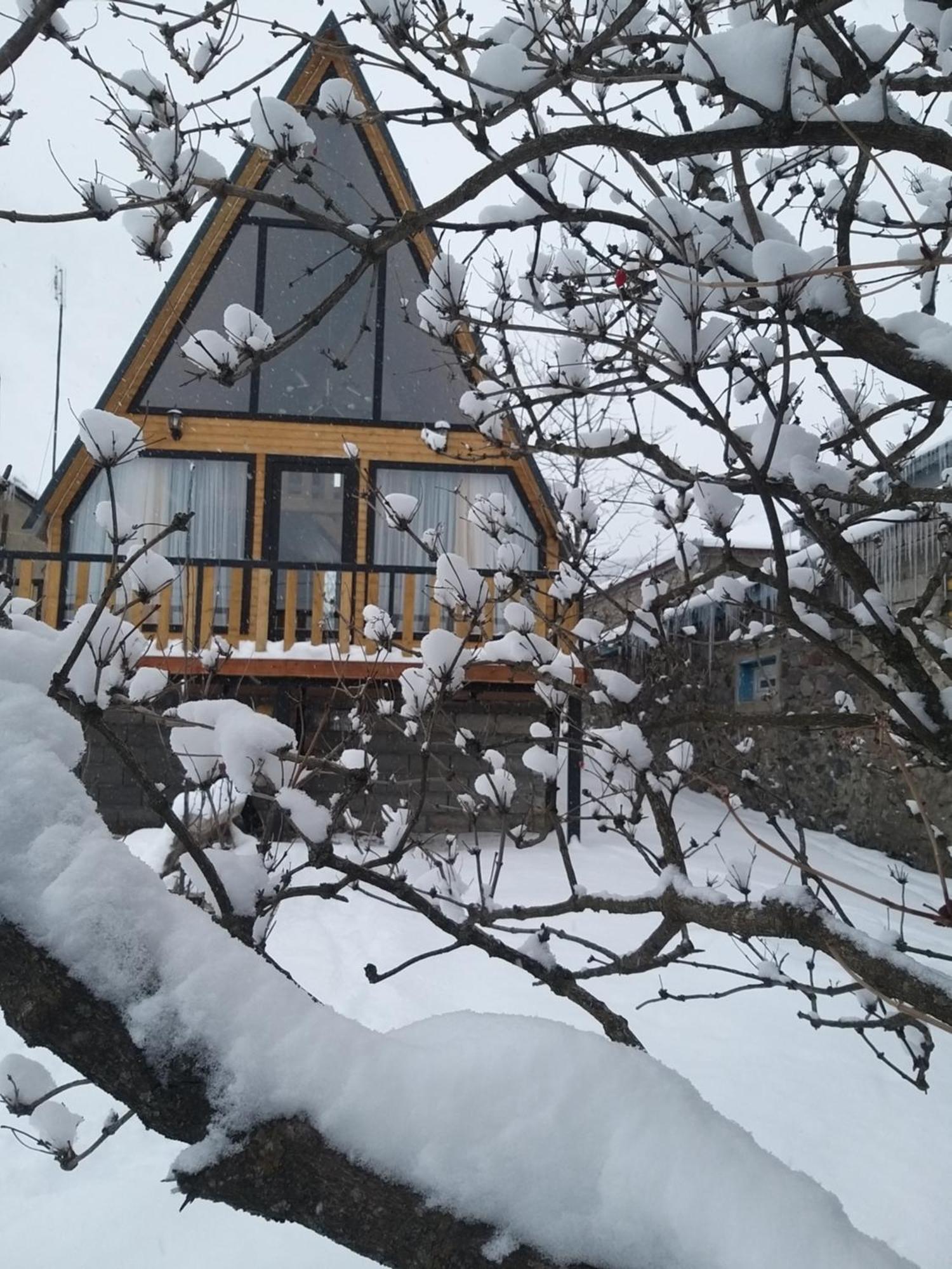 Emotion Kazbegi Apartment Bilik gambar