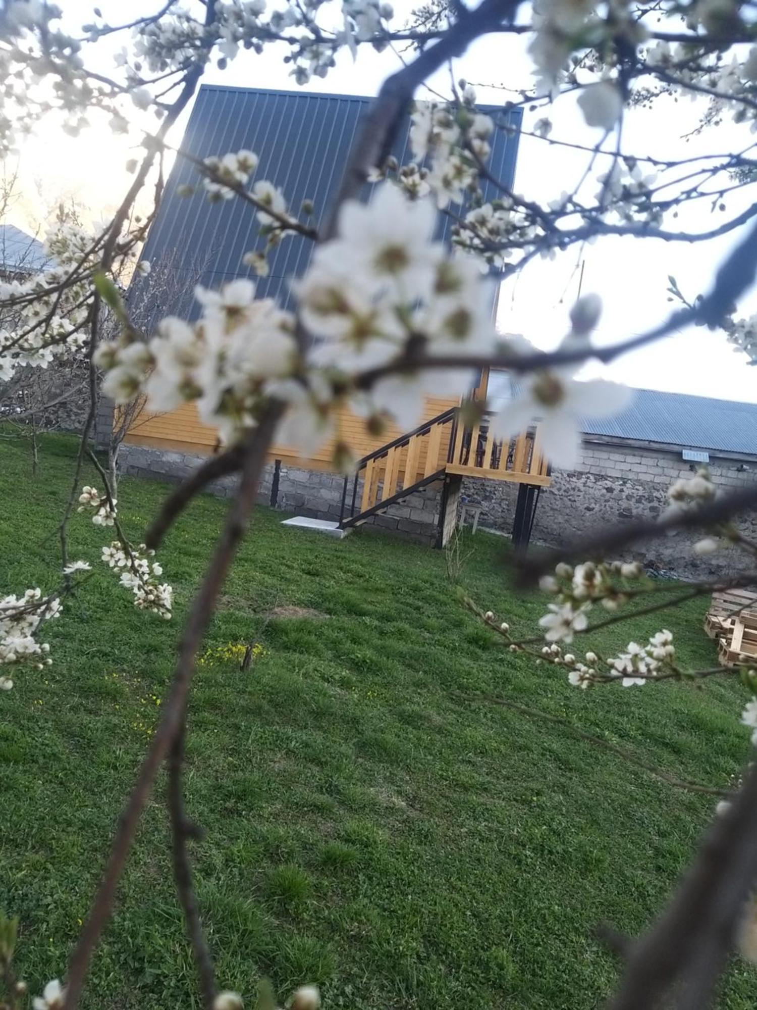 Emotion Kazbegi Apartment Bilik gambar
