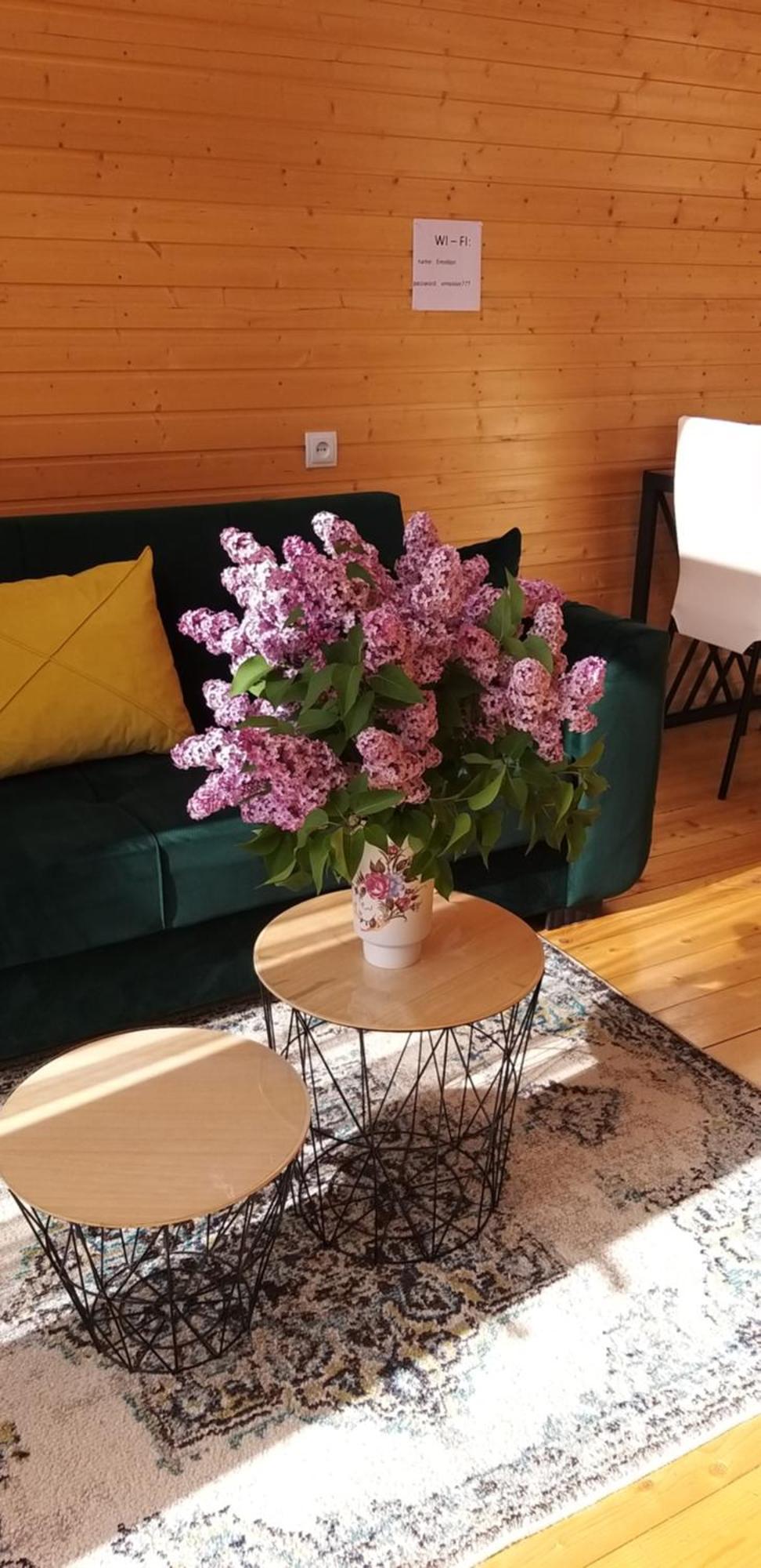 Emotion Kazbegi Apartment Luaran gambar