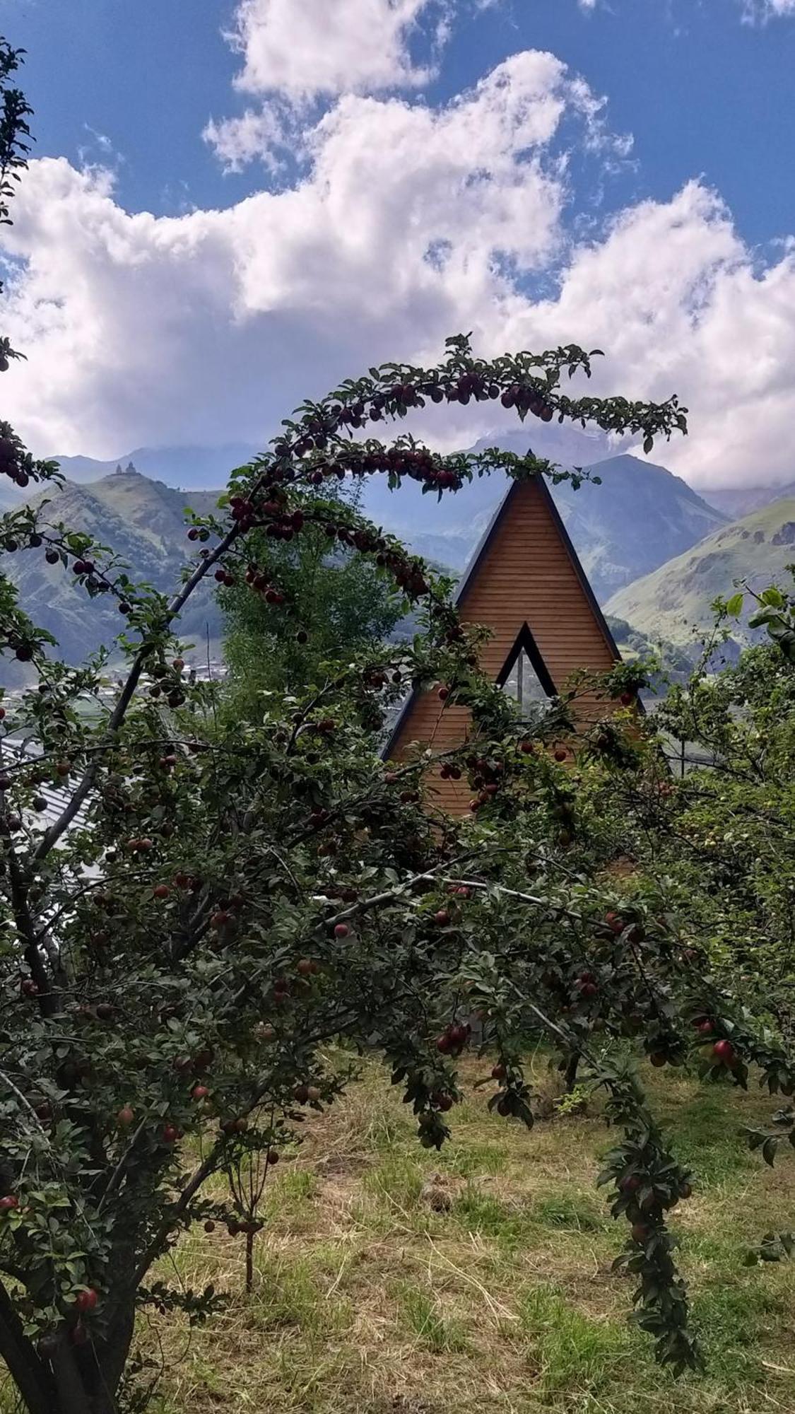 Emotion Kazbegi Apartment Luaran gambar
